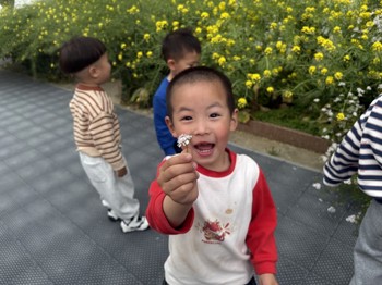 给蝴蝶采花（李老师）