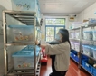 督导检查促提升 规范秩序护成长——姑香苑幼儿园迎接督导4月检查